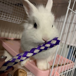 Mia added a photo of their purchase