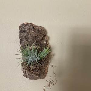 gail added a photo of their purchase