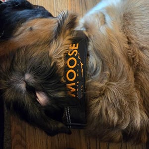 Mike added a photo of their purchase