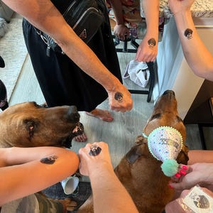 Tiffany added a photo of their purchase