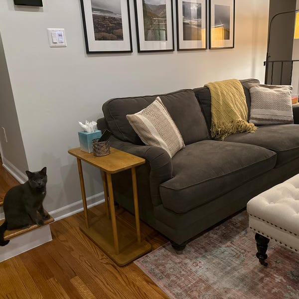 Narrow Side Table for Livingroom, Couch Table, Walnut Wood Sofa Table ...
