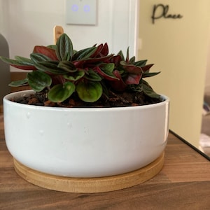 Diana added a photo of their purchase