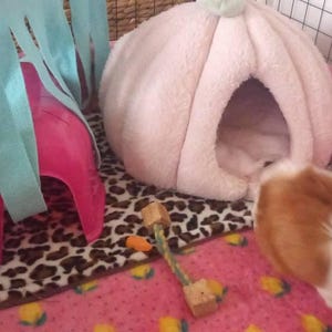 Sophie added a photo of their purchase
