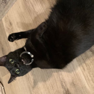 Elinor adicionaram uma foto da sua compra