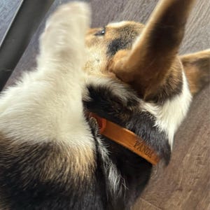 Iris added a photo of their purchase