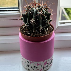 Sofia added a photo of their purchase