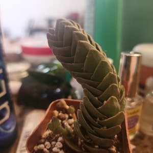 Jason added a photo of their purchase