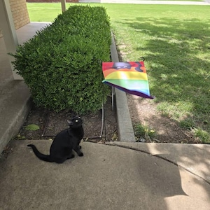 Caroline added a photo of their purchase