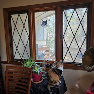 Suehyla added a photo of their purchase