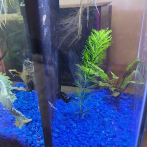 Merik added a photo of their purchase