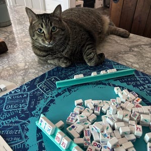 Kathy added a photo of their purchase