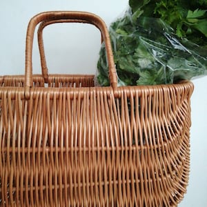 cannondale airspeed plus