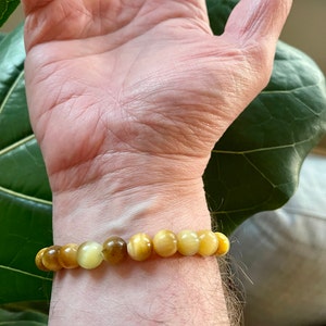 Graham a ajouté une photo de son achat