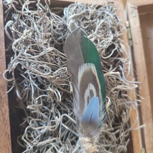 Turkey Feather Picture Frame Barn Wood Shotgun Shells - Etsy