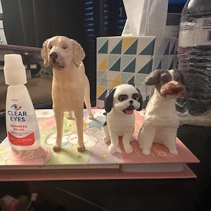 Michele ha añadido una foto de su compra