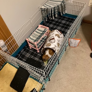 Josey added a photo of their purchase