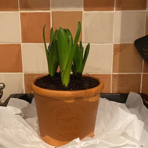 Pot de fleur en terre cuite de retraite gravé personnalisé, cadeau de  départ sur mesure accessoire de jardin pour amis et collègues de travail -   France