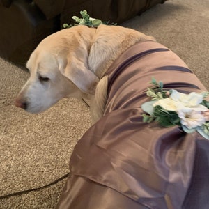 xs dog bow tie
