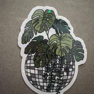 Meg さんが購入した商品の写真を追加しました