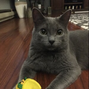 Douglas added a photo of their purchase