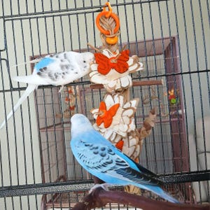 Jane added a photo of their purchase
