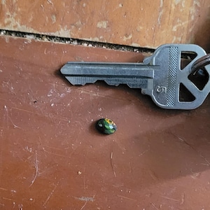 Anthony added a photo of their purchase