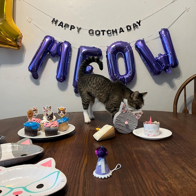 Piatti Per Feste Con Gattini Rosa - Set Da 8 | Diametro 22.7 Cm | Carta Resistente FSC | Design Divertente - Foto 8