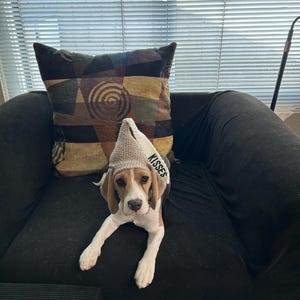 Grace dodał(a) zdjęcie swoich zakupów