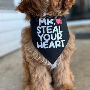 HMochi added a photo of their purchase
