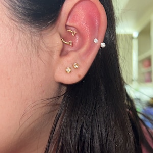 alejandra added a photo of their purchase