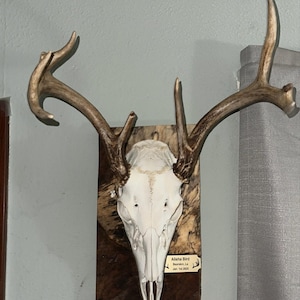 Plaque De Chasse Au Cerf Personnalisée – Argent Brossé, 3x1.25 Pouces, Neuve