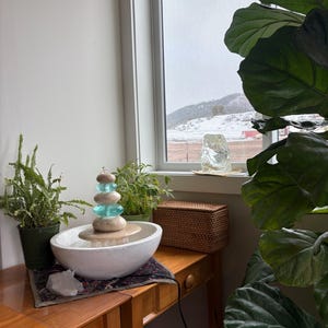 Diana added a photo of their purchase