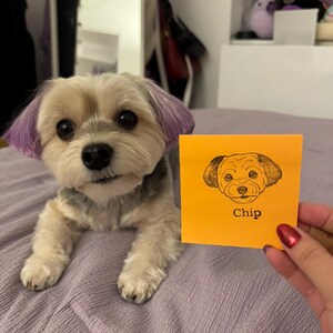 jane added a photo of their purchase