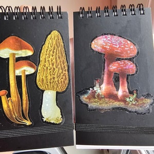 Mrs added a photo of their purchase
