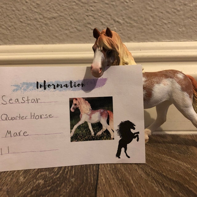 Schleich Model Horse Creations by SugarRoseStudios on Etsy