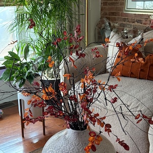 Anatome added a photo of their purchase