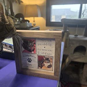 Vanessa added a photo of their purchase