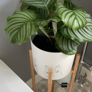 Lily added a photo of their purchase