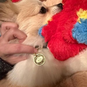 nancy added a photo of their purchase