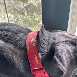 Jo added a photo of their purchase
