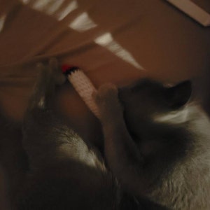 Liz heeft een foto van de aankoop toegevoegd