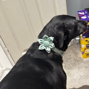 Ellie added a photo of their purchase