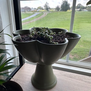 Brandy added a photo of their purchase