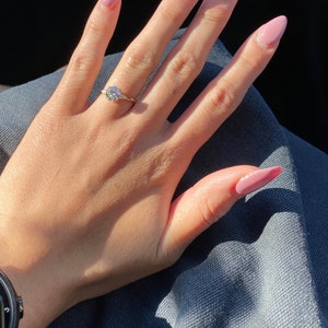Clark added a photo of their purchase