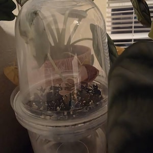 Maggie added a photo of their purchase