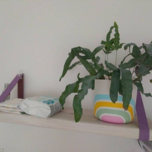 Daniela added a photo of their purchase