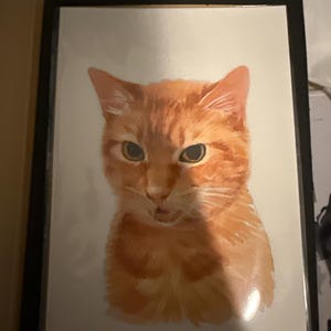 Kyla ha añadido una foto de su compra