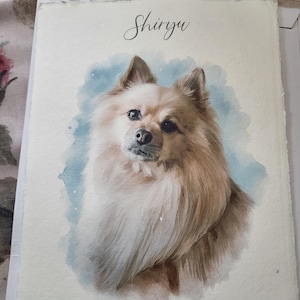 Lucia added a photo of their purchase