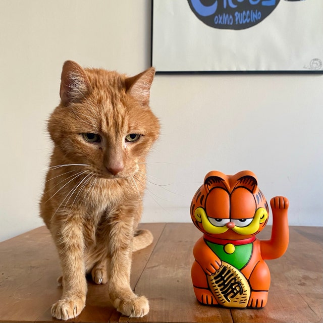 招き猫ガーフィールド - Etsy 日本