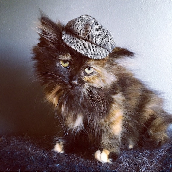 Customer photo of a pet with the Newspaper Boy Hat  for small pet Hedgehog Vogue